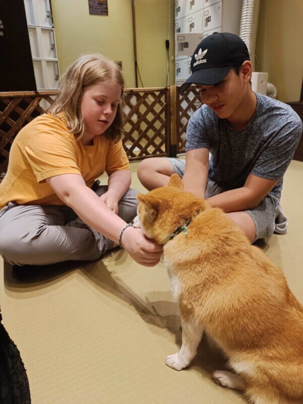 LTL Summer Camp || Shiba Cafe